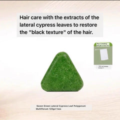 Shampoing solide aux herbes Asiatiques