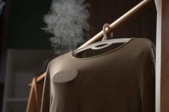 Défroisseur à vapeur