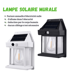 LAMPE MURALE SOLAIRE - Discoveri